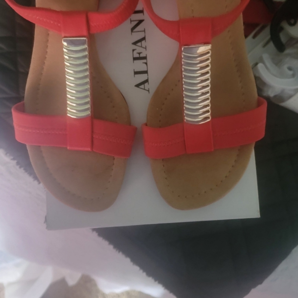 Salmon Color Wedges